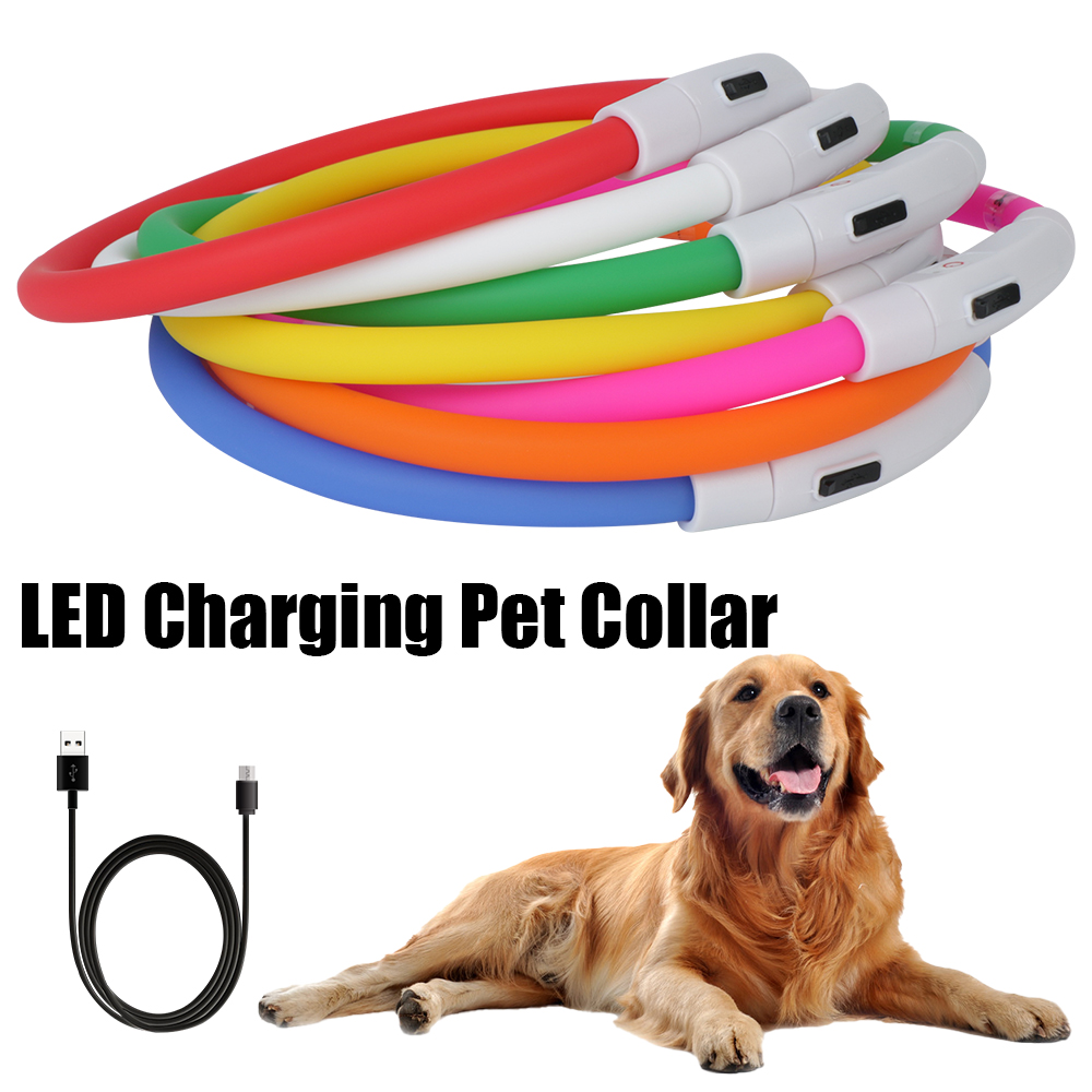 Tech Dog Accessories - LED USB الكلب طوق مع توهج