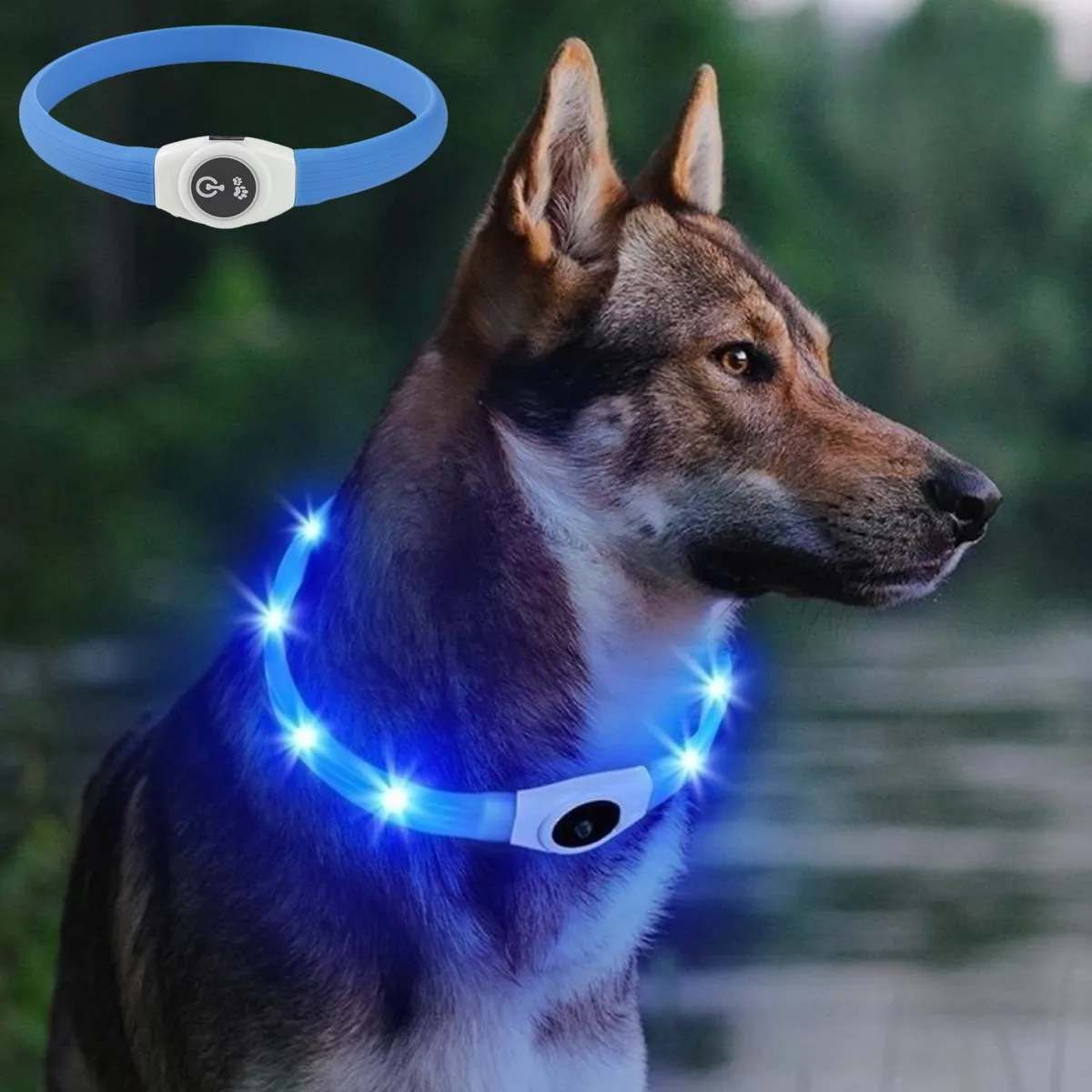 Tech Dog Accessories - جديد Led مضيئة طوق بكلاب بولي