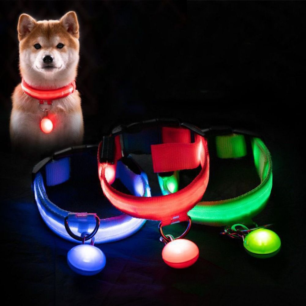 Usb شحن متوهجة طوق بكلاب مع قل - مراجعة Tech Dog Accessories وسعره
