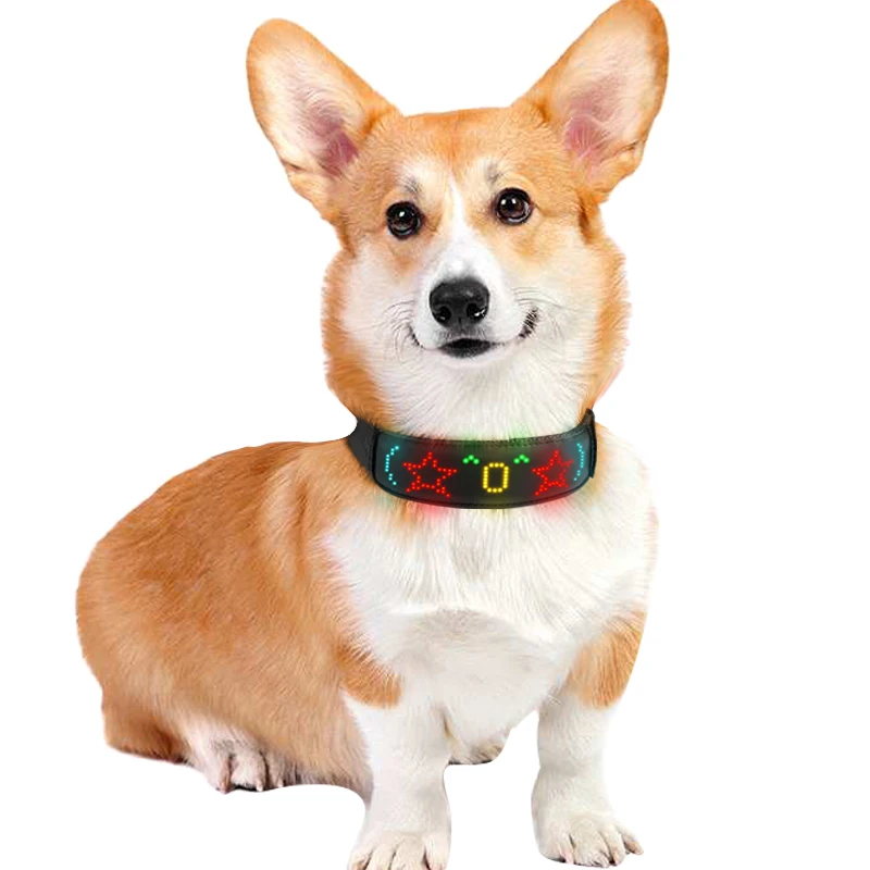 متعدد الألوان الحيوانات الأليف - مراجعة Tech Dog Accessories وسعره