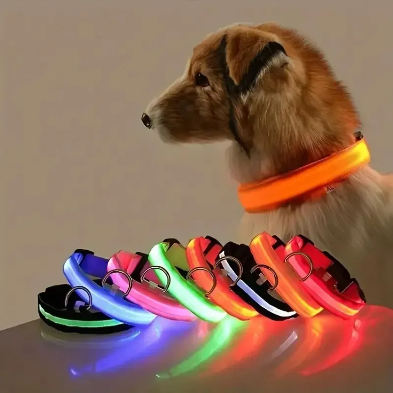 النايلون LED السلامة الليلية و - مراجعة Tech Dog Accessories وسعره