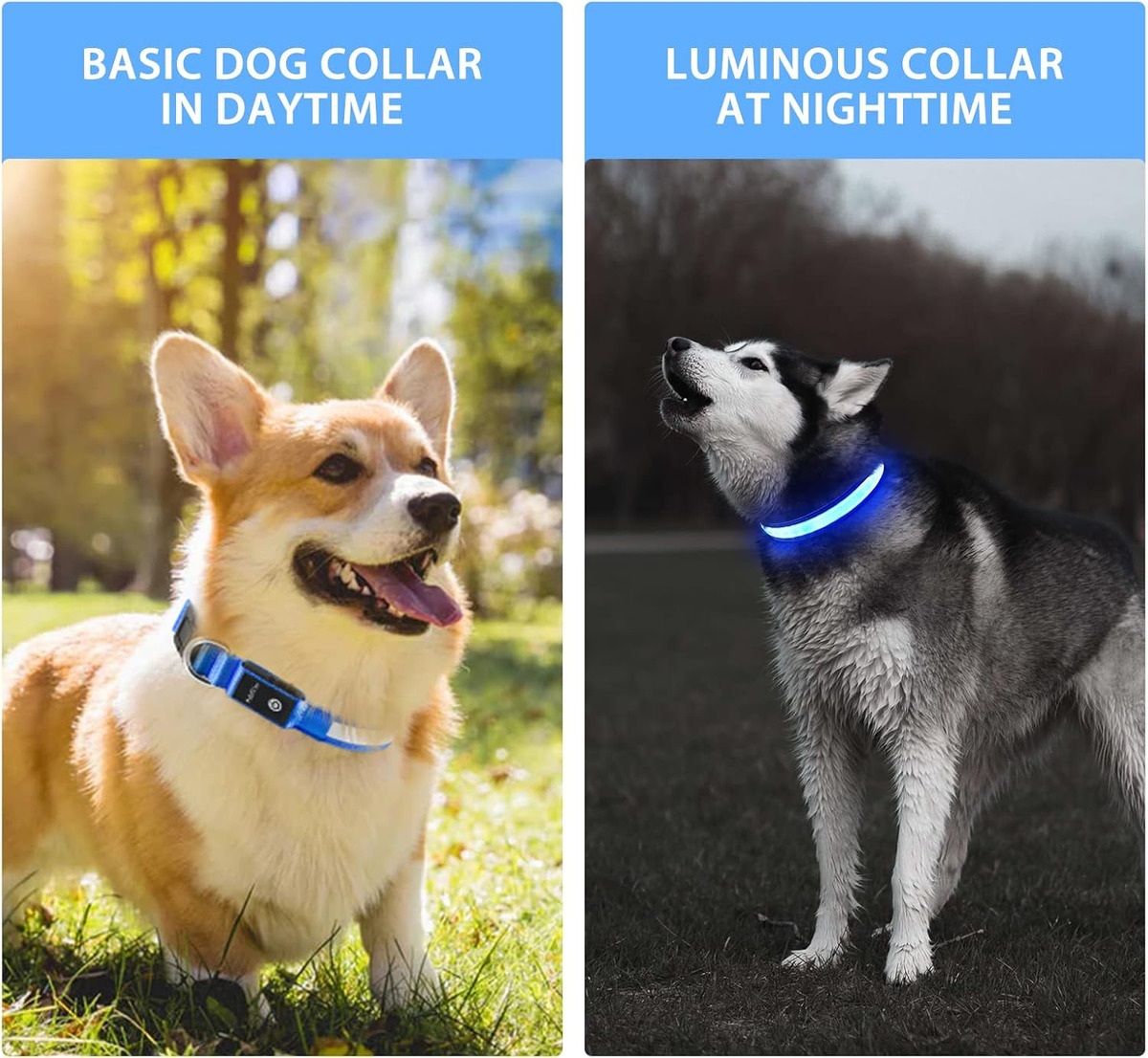 أضواء طوق LED للكلاب بمنفذ USB - مراجعة Tech Dog Accessories وسعره