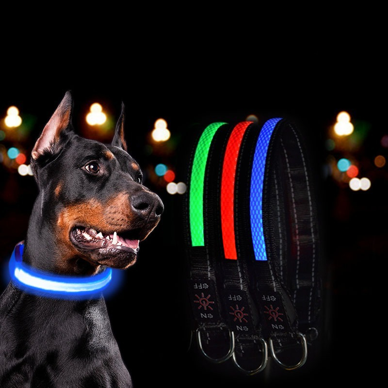 أضواء طوق LED للكلاب بمنفذ USB - مراجعة Tech Dog Accessories وسعره