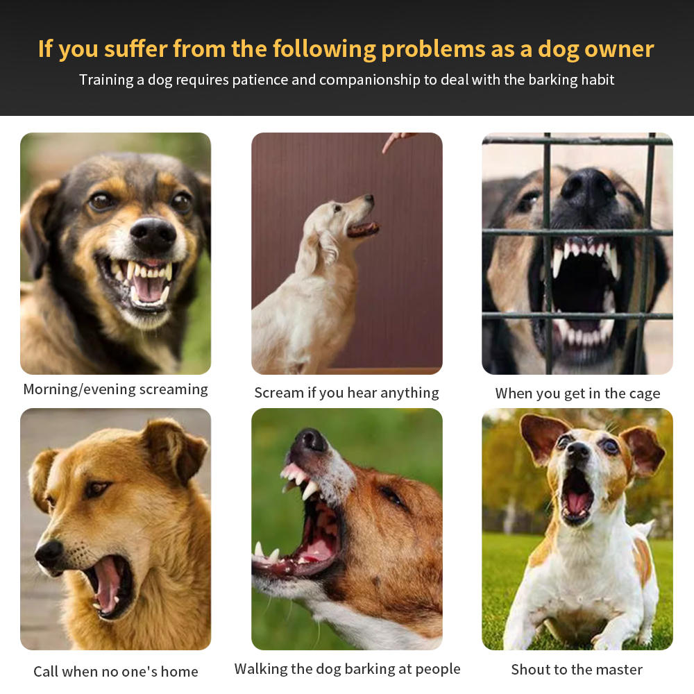 طوق مضاد لنباح الكلاب مع صدمات - مراجعة Tech Dog Accessories وسعره