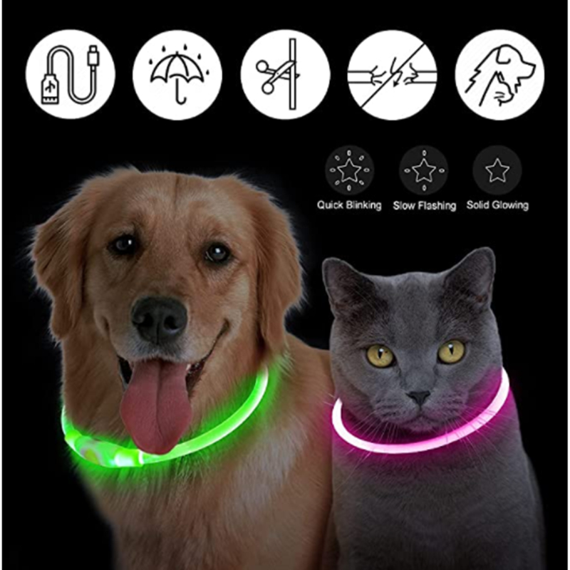 طوق مضيء قابل لإعادة الشحن عبر - مراجعة Tech Dog Accessories وسعره