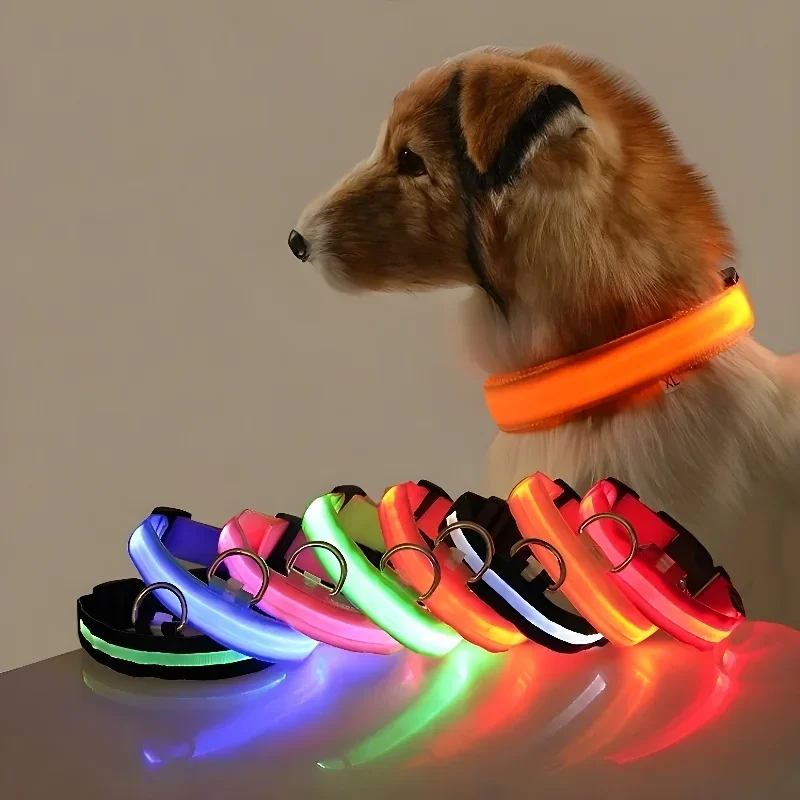 طوق كلب من النايلون مع إضاءة L - مراجعة Tech Dog Accessories وسعره