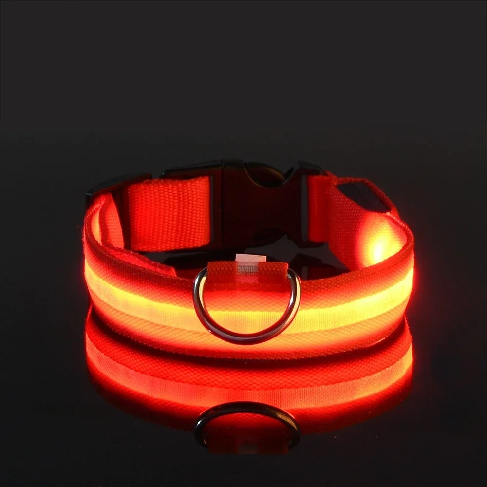 طوق كلب من النايلون مع إضاءة L - مراجعة Tech Dog Accessories وسعره