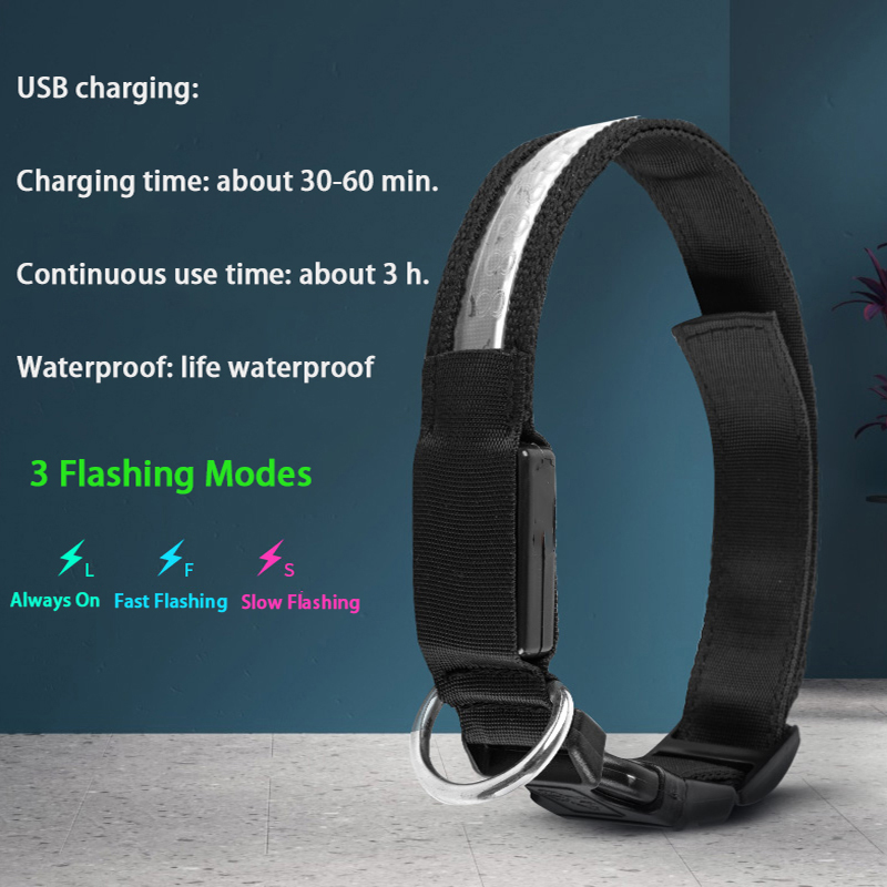 محفورة معرف LED طوق بكلاب مضيئ - مراجعة Tech Dog Accessories وسعره