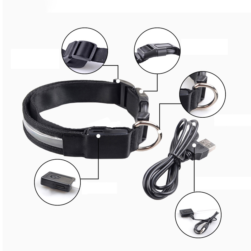 محفورة معرف LED طوق بكلاب مضيئ - مراجعة Tech Dog Accessories وسعره