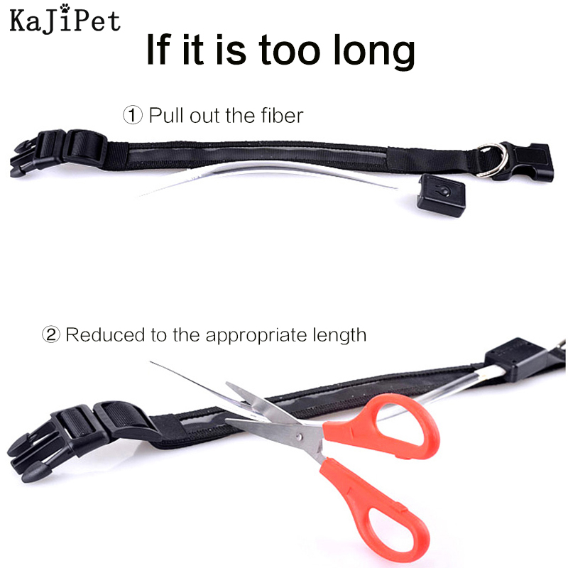 محفورة معرف LED طوق بكلاب مضيئ - مراجعة Tech Dog Accessories وسعره